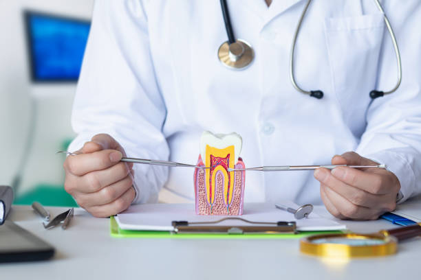 Best Knocked-Out Tooth (Avulsed Tooth) Treatment in Rockwall, TX